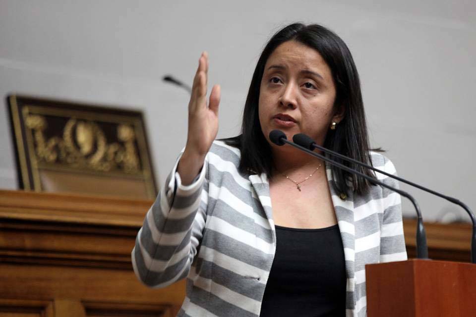 Gaby Arellano diputada Asamblea Nacional