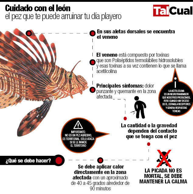 Pez León Infografía