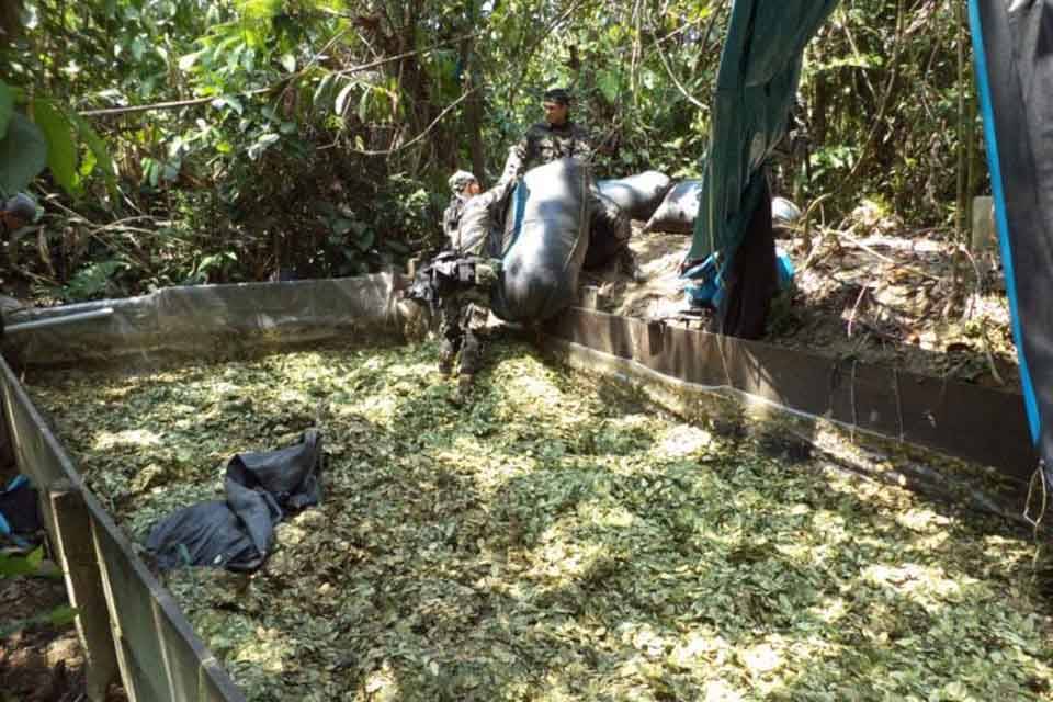 Cultivos de coca Colombia Ejército