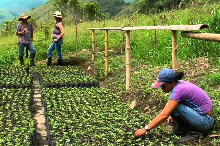 producción agrícola Venezuela