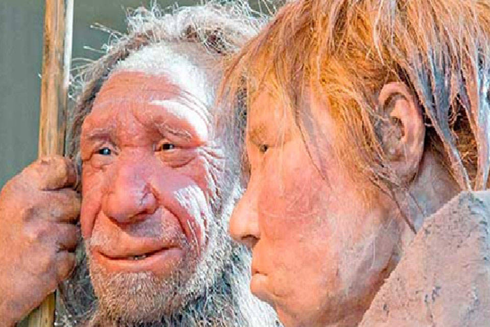 ¿Qué tan Neanderthales somos?, por Carlos M. Montenegro