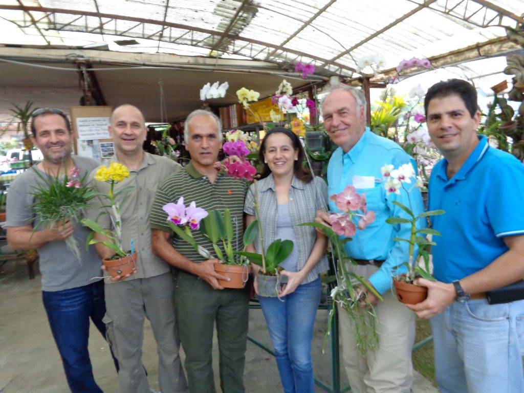 Todos con Orquideas