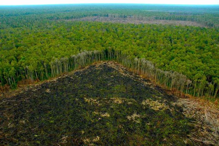 Deforestación en el Amazonas