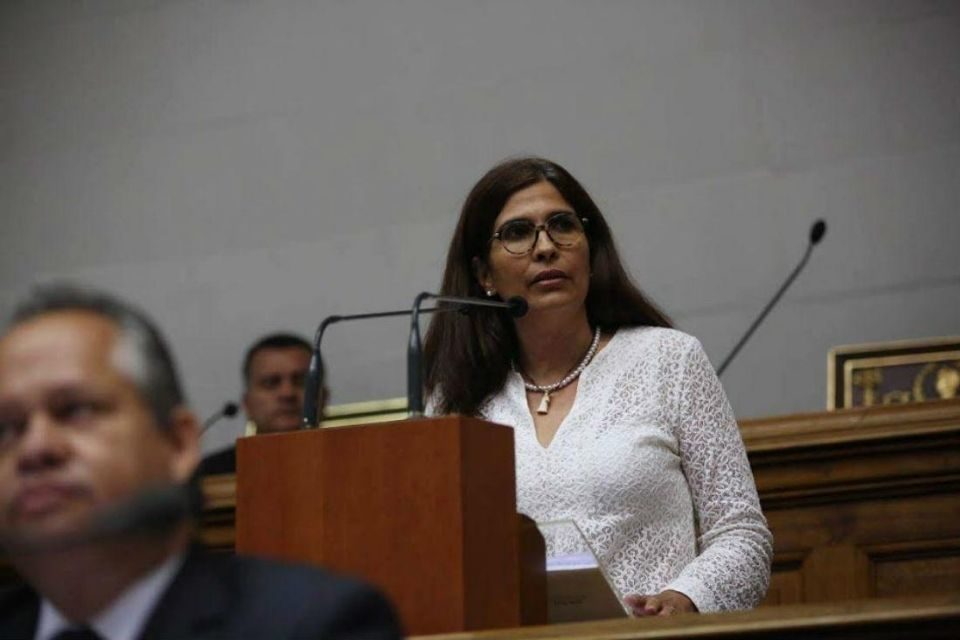 Comisión de Ambiente Asamblea Nacional Diputada Hernández