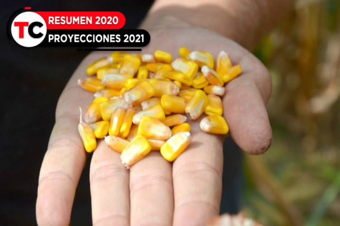 Agro resumen 2020, producción de maíz