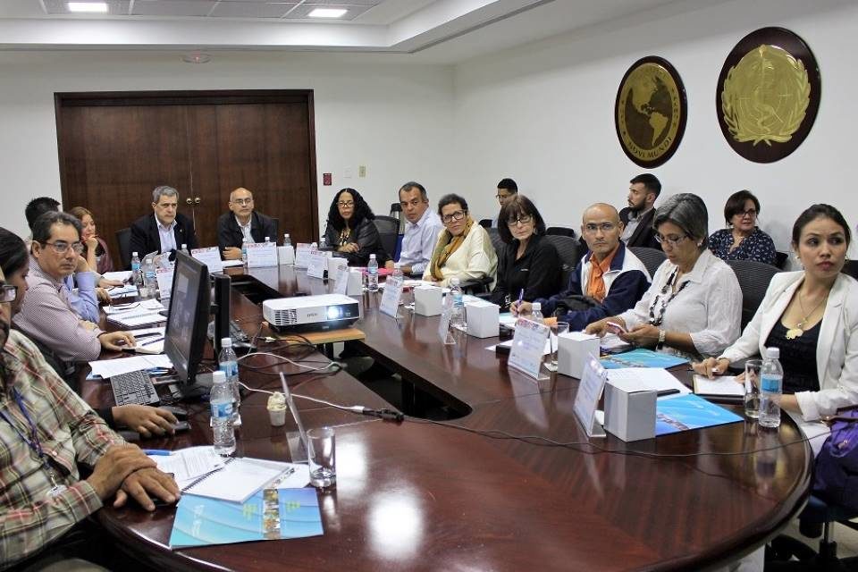 Reunión OPS y Ministerio sobre vacunación covid-19
