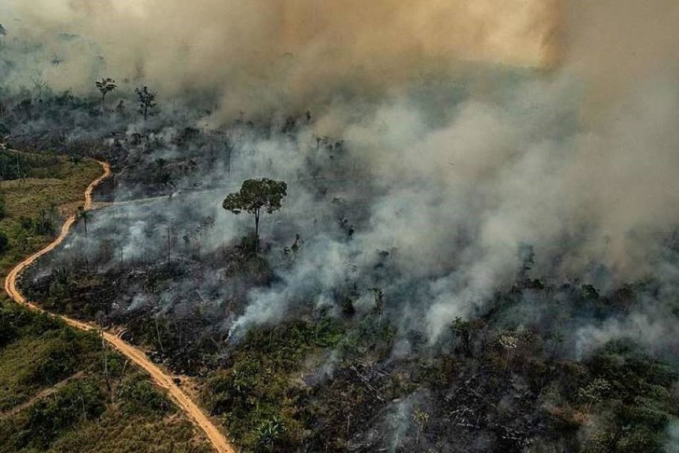El desmantelamiento de la política ambiental de Bolsonaro