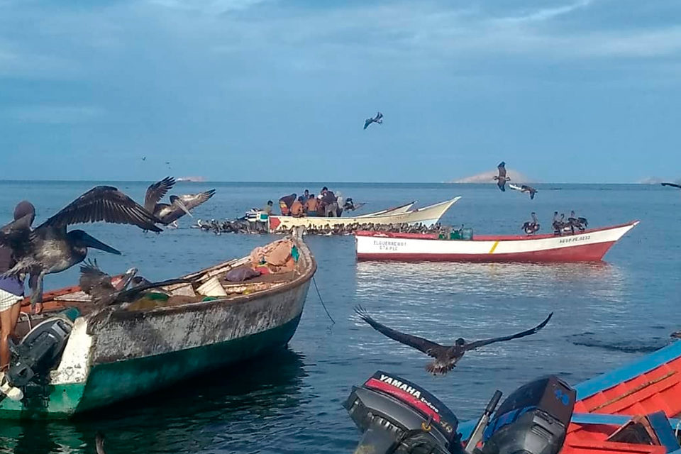 Pescadores. Embarcaciones pesqueras