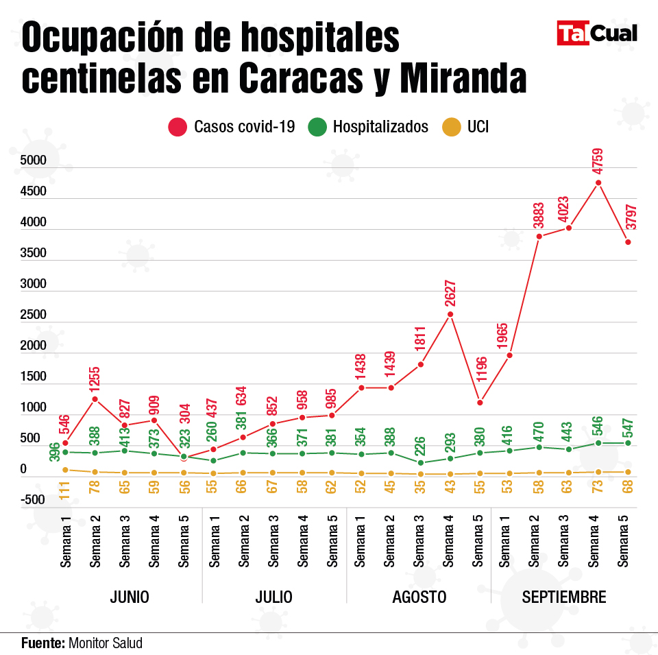 Ocupación hospitales covid septiembre