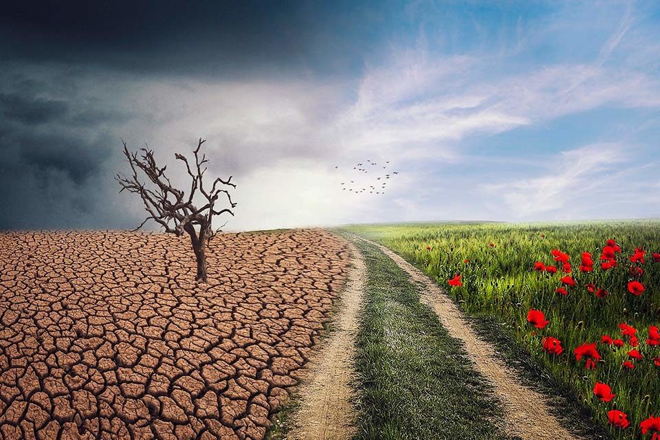 Agroalimentos: América Latina en la encrucijada del cambio climático, por Latinoamérica21