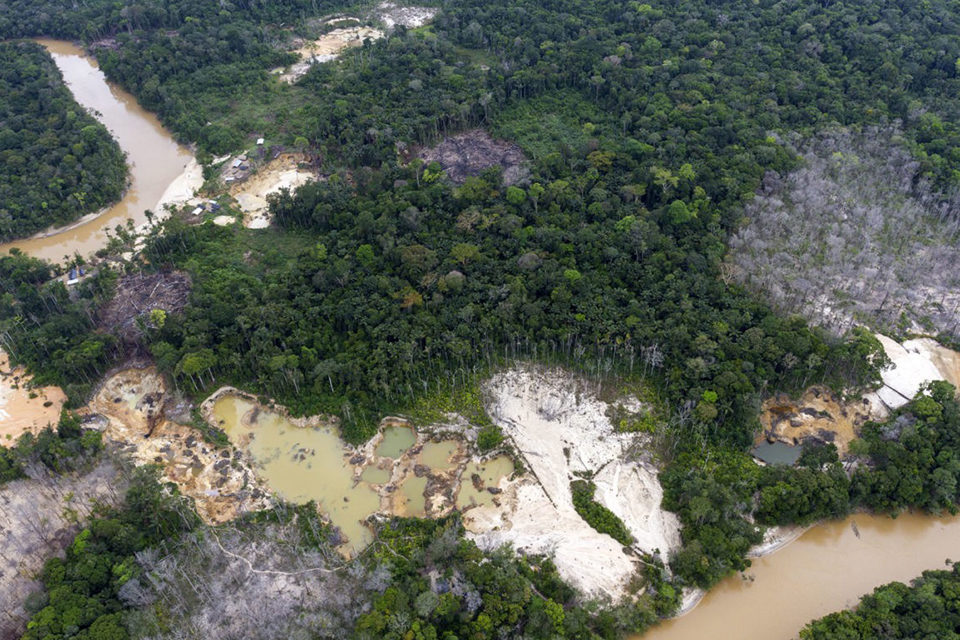 Cambio climático y deforestación en Venezuela