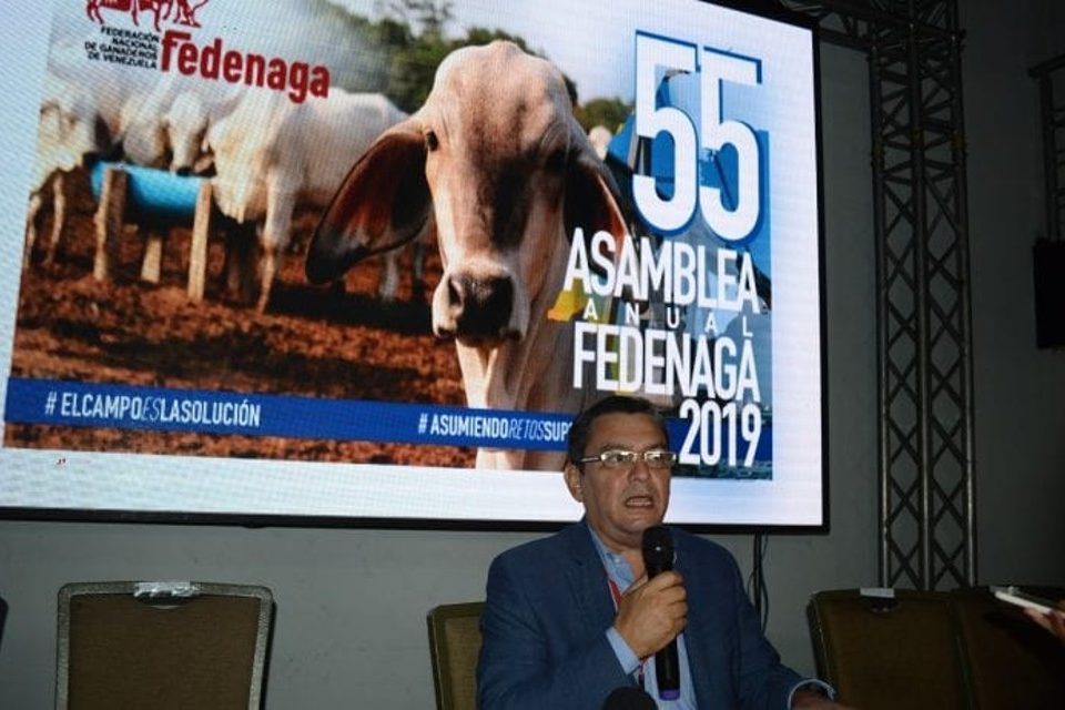 Armando Chacín Fedenaga