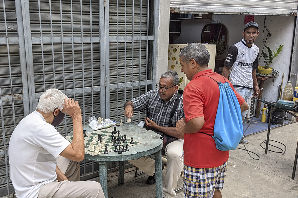 Chess Players Paseo Anauco