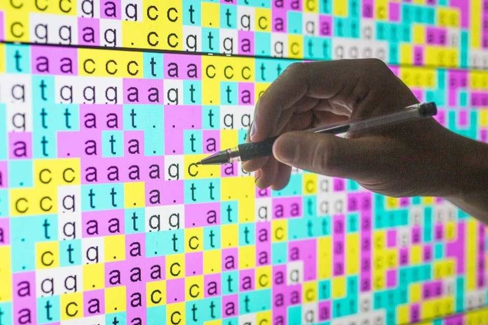 ADN genoma