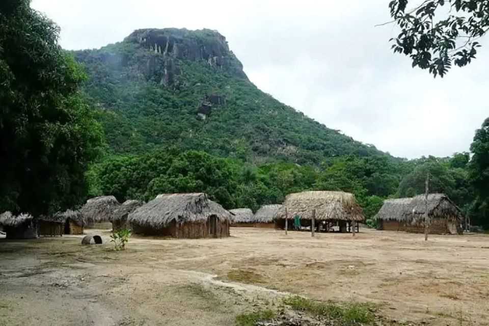 Indígenas Caserío Estado Bolívar Talcual 