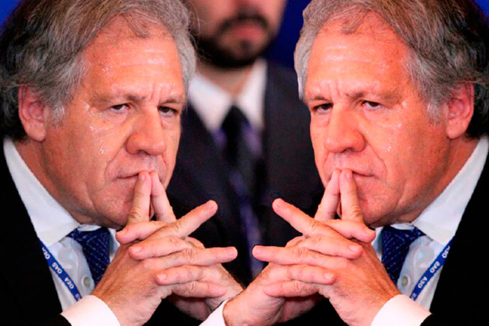 Los dos Luis Almagro