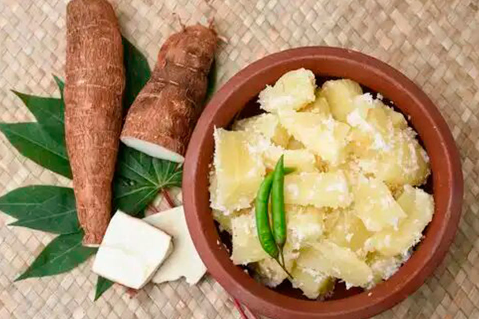 Yuca y cultura