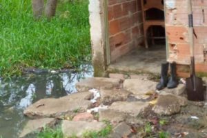 Máximo Romero Community denounces that they live between sewage and bad smell