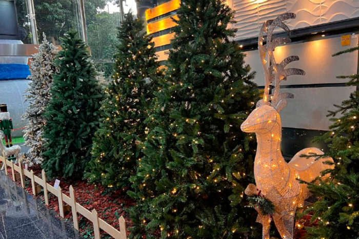 Árbol de Navidad- Tienda Las Mercedes