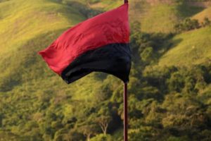 Bandera ELN