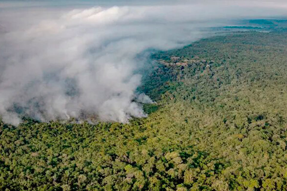 Brasil y la Cumbre Amazónica: clima, hambre y agroecología