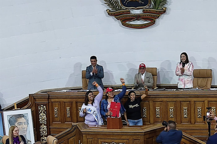Asamblea Nacional 2015 Ley consejos comunales