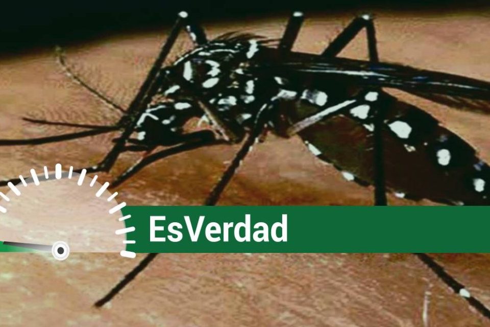 EsaPaja Academia Medicina covid-19 dengue