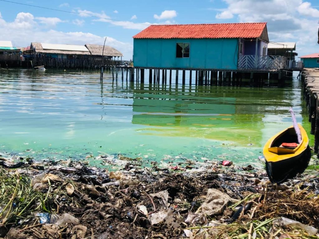 Lago de Maracaibo Contaminación 