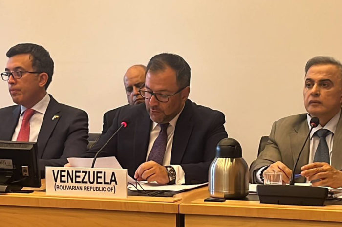 Venezuela Comité de DDHH ONU Canciller Gil