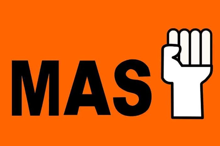 MAS logo Movimiento al socialismo