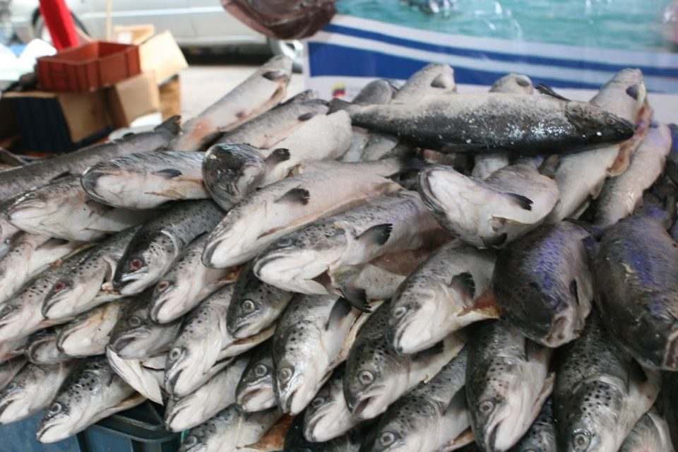 Precio del pescado para Semana Santa