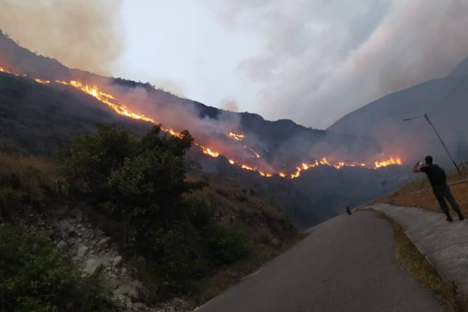 Incendios Forestales Han Afectado Más De 60 Mil Hectáreas Del País 5592