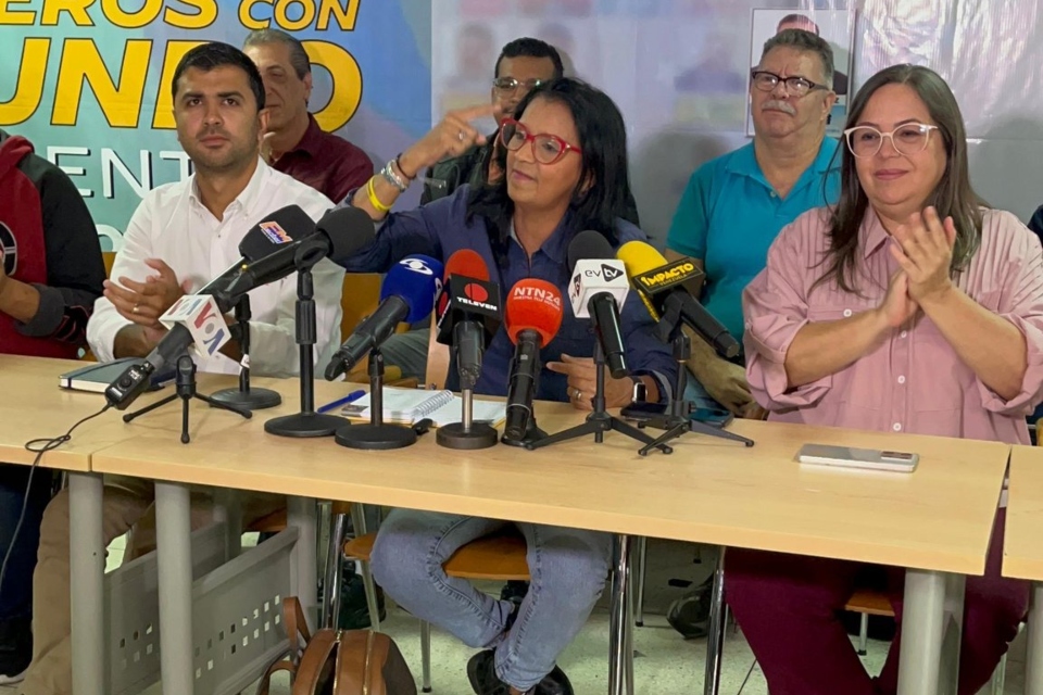 Deyalitza Aray Plataforma Unitaria CNE elecciones