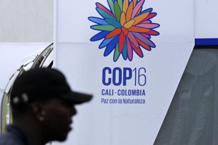 COP16 Cali Colombia (1)