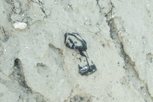 Frontera EEUU México Migrantes Luna Perdomo