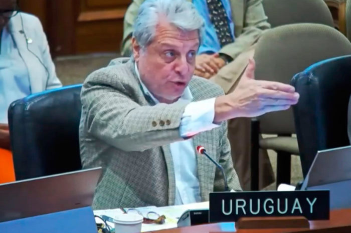 Un querido turco en Caracas / Washington-Abdala-Uruguay