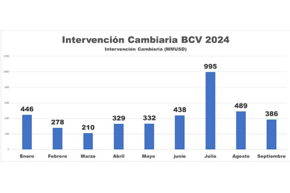 divisas bcv dólares 2024