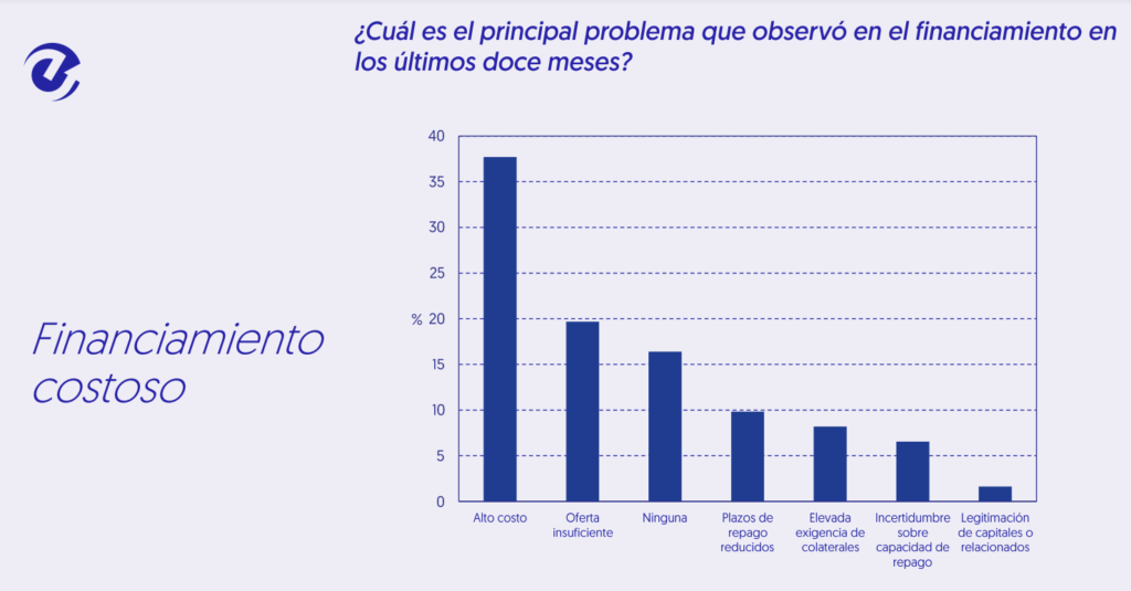 Ecoanalitica empresas 2024