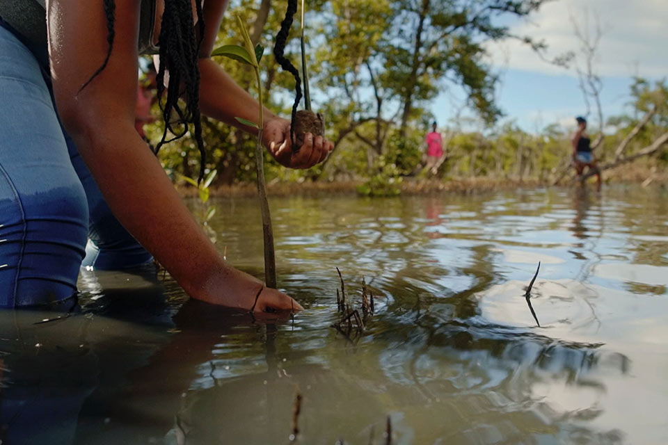 El nexo entre clima, biodiversidad y agua