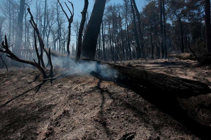 Sequía, cambio climático y diplomacia científica: una respuesta colectiva desde AL
