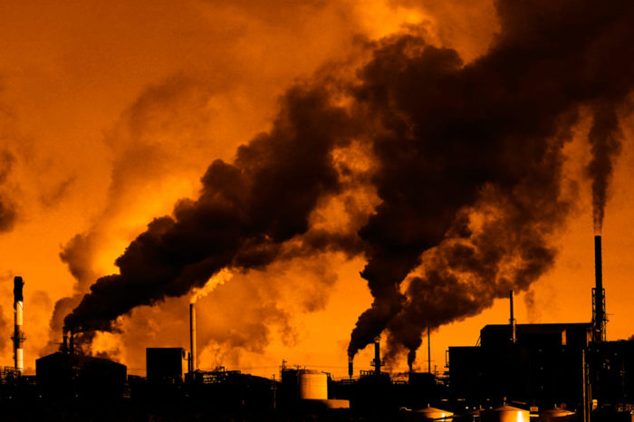 Los efectos del error humano en la salud del planeta