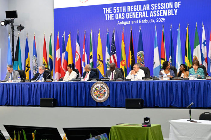 La OEA, sus rémoras y sus bemoles