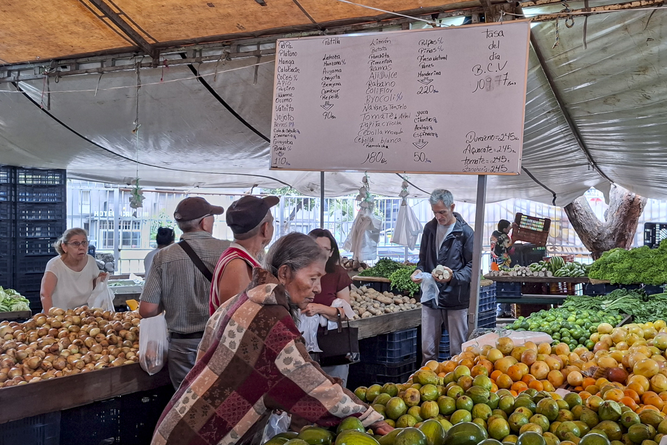 Agricultores Mérida lluvias
