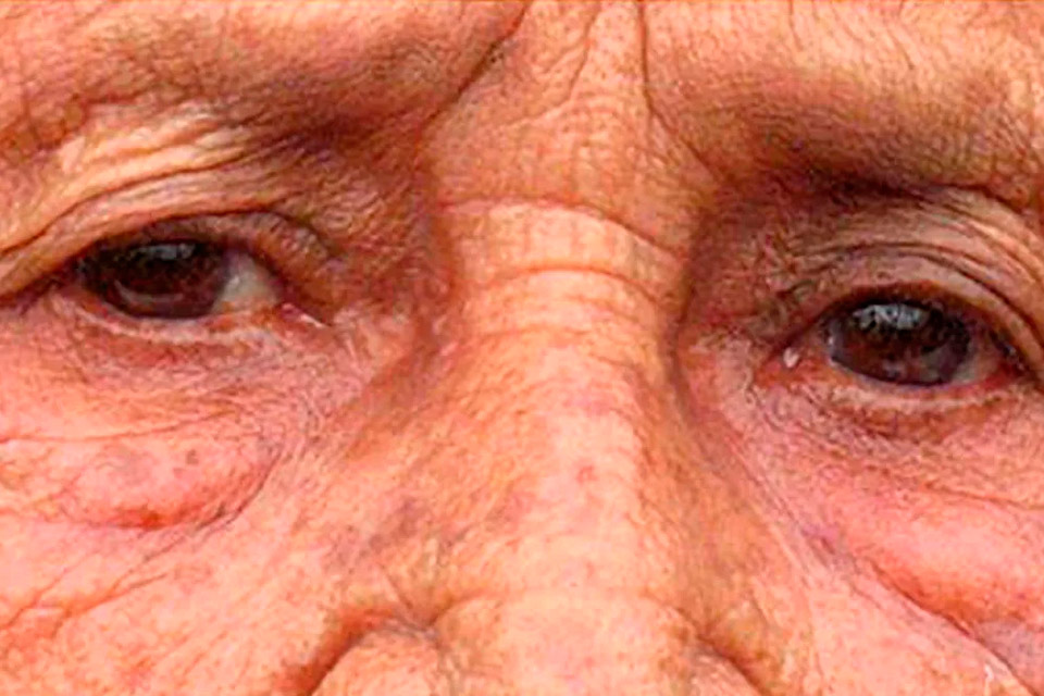 Febril la mirada, por Fernando Rodríguez