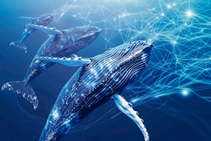 De ballenas a algoritmos: por qué AL puede liderar una IA inspirada en la naturaleza