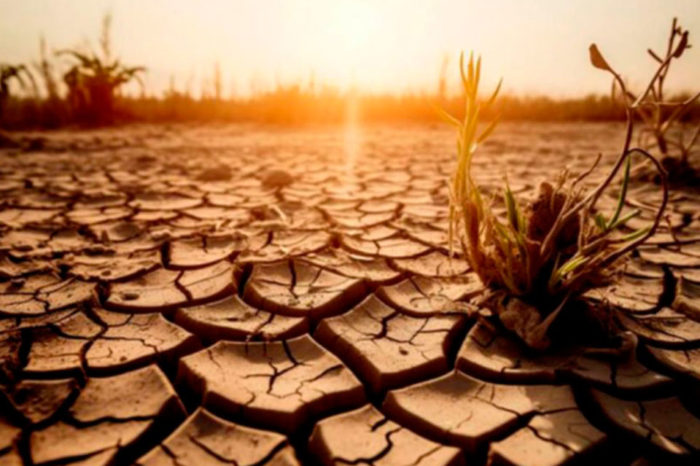 Financiamiento del cambio climático en tiempos de negacionismo