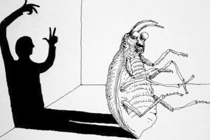 No entiendo / La metamorfosis