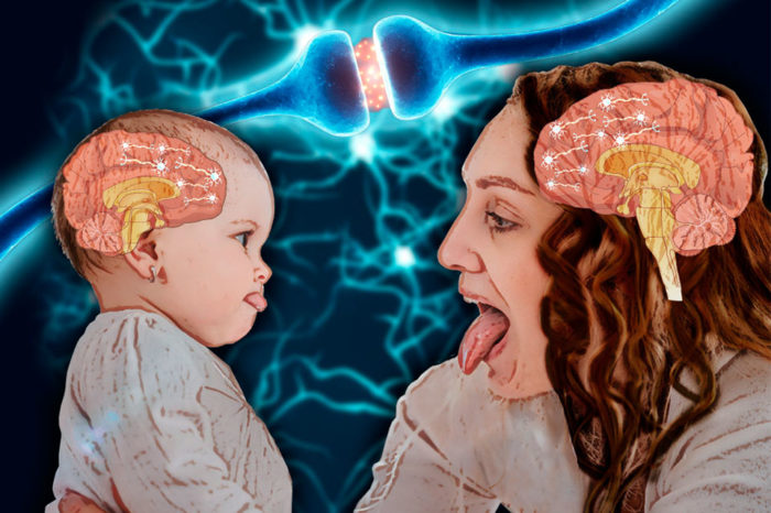 Ecolocación (III) / Neuronas espejo